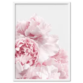 Blush Peonies - Art Print